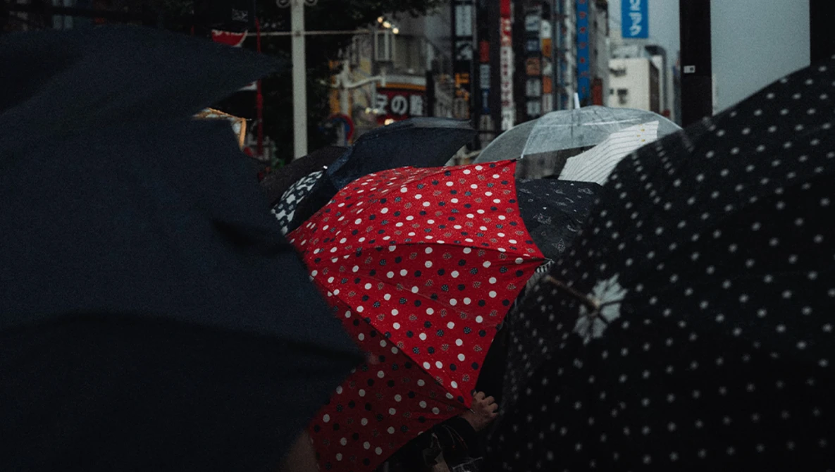 Colorful polka-dotted umbrellas held up during rain in an urban street setting.