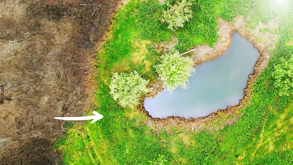 Aerial view of a small pond surrounded by vibrant green moss and vegetation in a natural landscape.