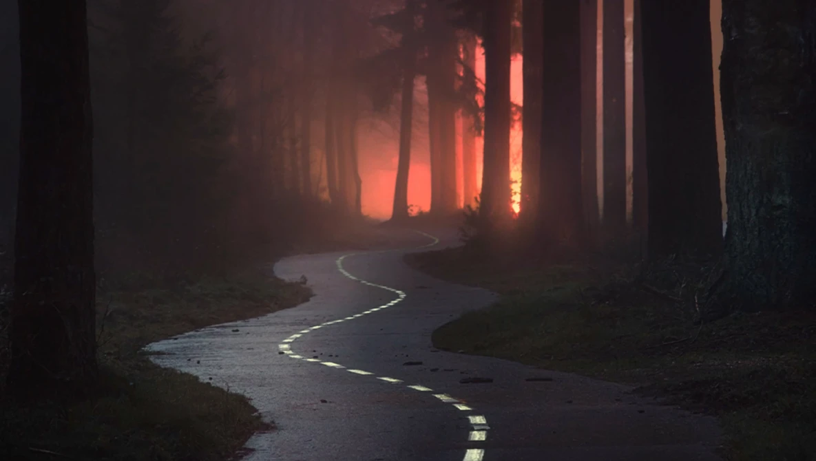 Winding wet road through dark forest at sunset with warm orange glow in distance.