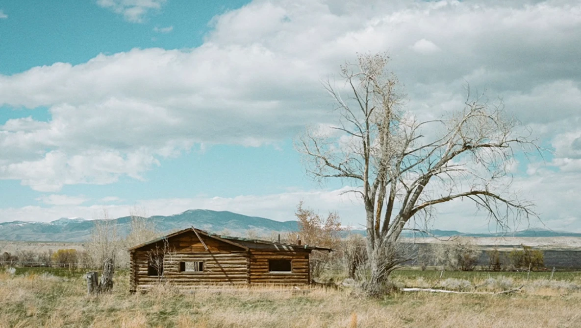 Weathered log cabin in open grassland with bare cottonwood tree and mountain range under partly cloudy sky.