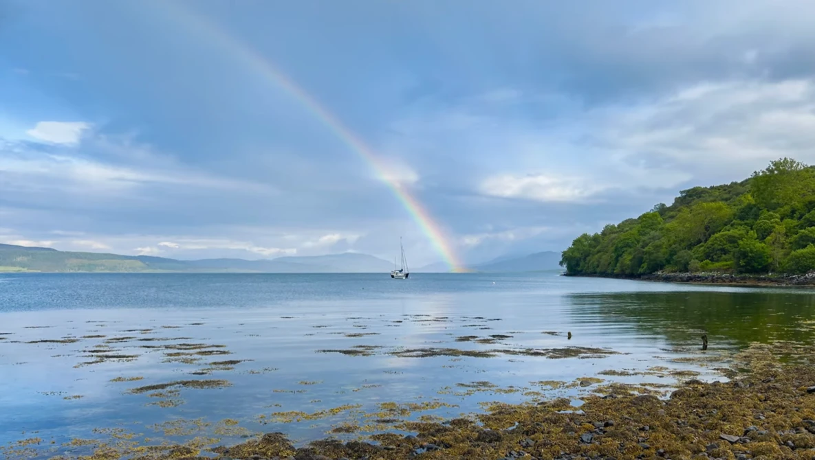 Rainbow stretching from stormy sky to calm bay waters, with forested shoreline and distant sailboat.
