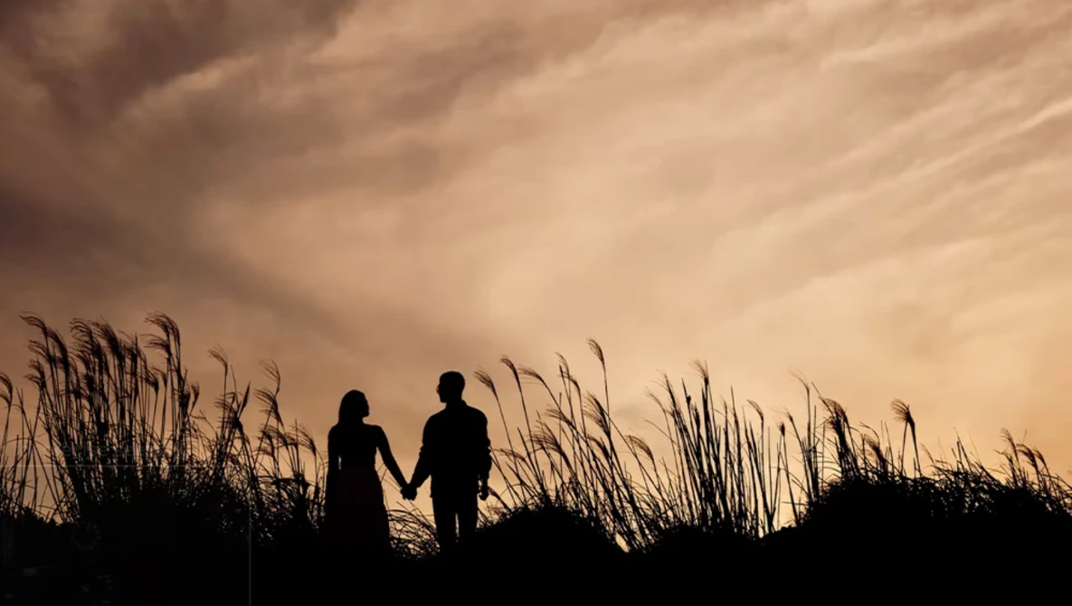 Two people silhouetted against a dramatic golden sky, holding hands while standing among tall marsh grasses.