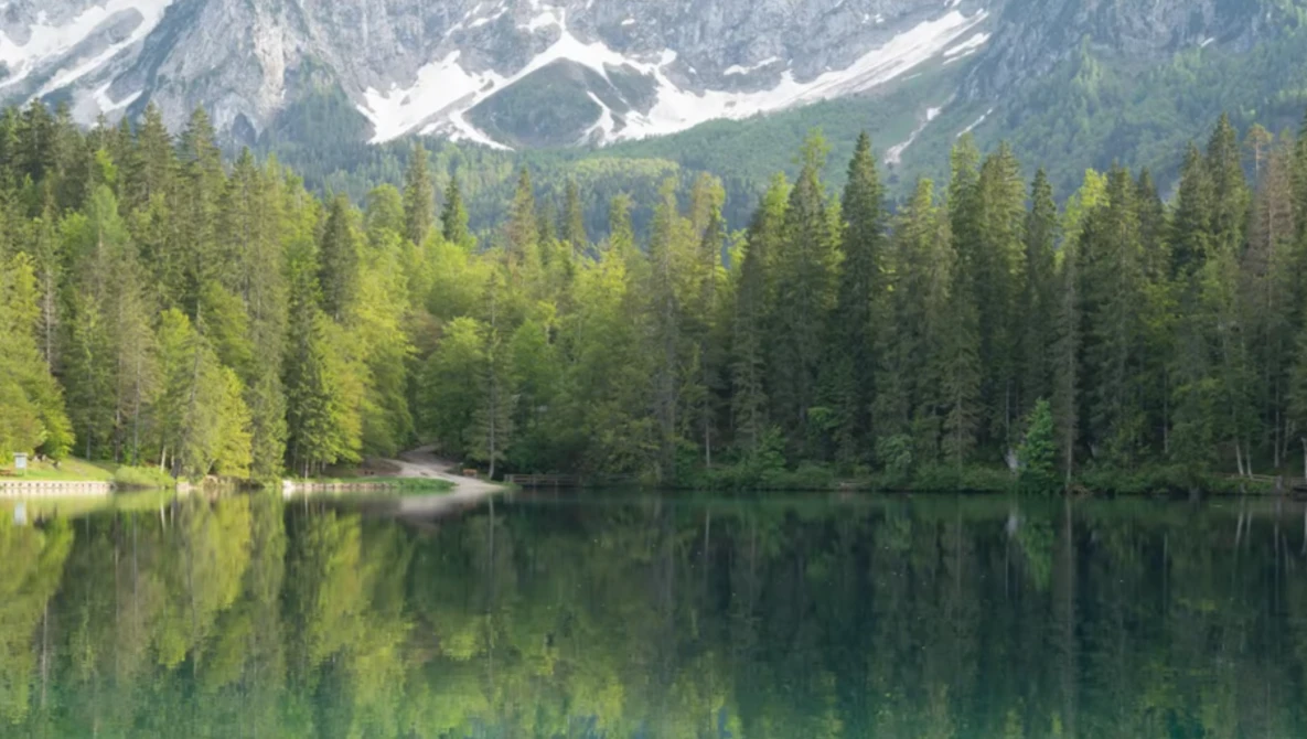 Alpine lake with coniferous forest and snow-capped mountain reflected in still water.
