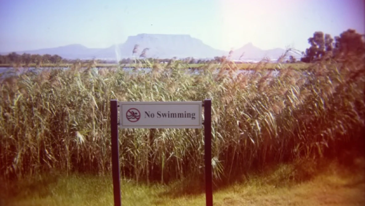 No Swimming sign in a cornfield with table mountain visible in the distance.