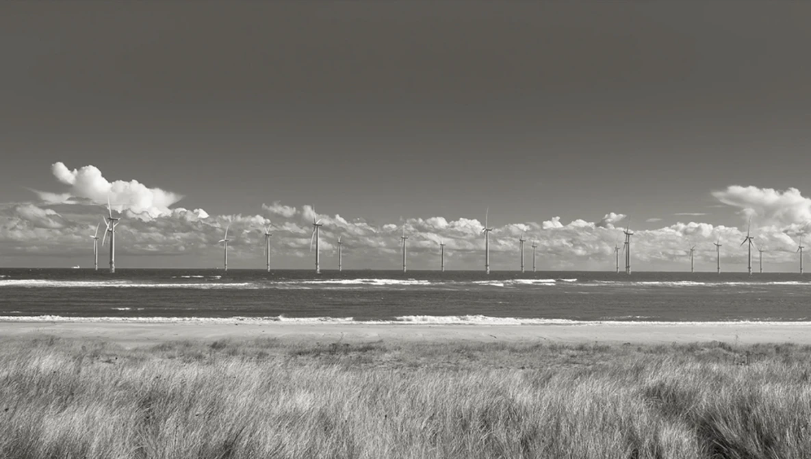 Offshore wind turbines line the horizon beyond a coastal marsh with tall grasses in the foreground.