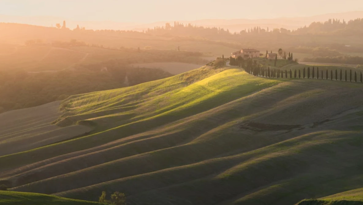Rolling hills in Tuscany at sunrise with cypress tree alley and golden morning light casting long shadows across the landscape.