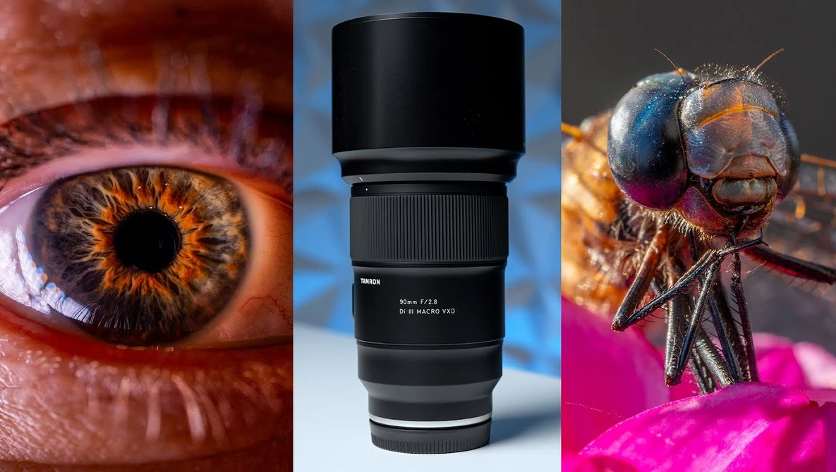 Macro photography triptych showing human eye with golden iris, telephoto lens, and insect head with compound eyes.