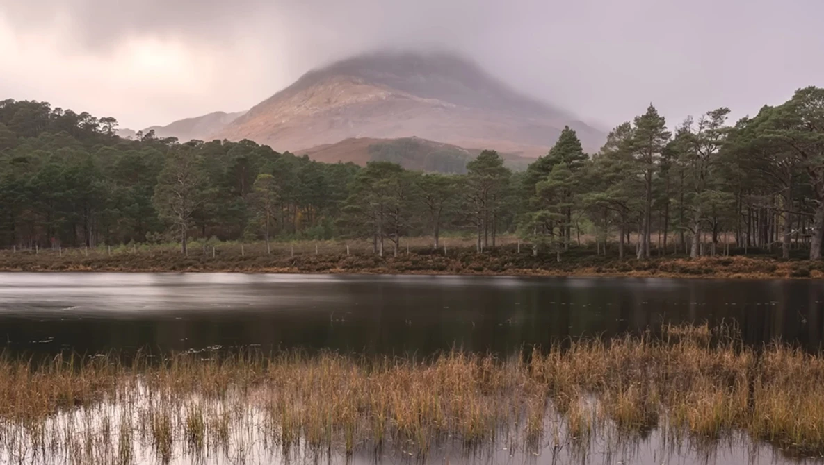 Misty volcano rising above a forested shoreline and still lake at dawn.