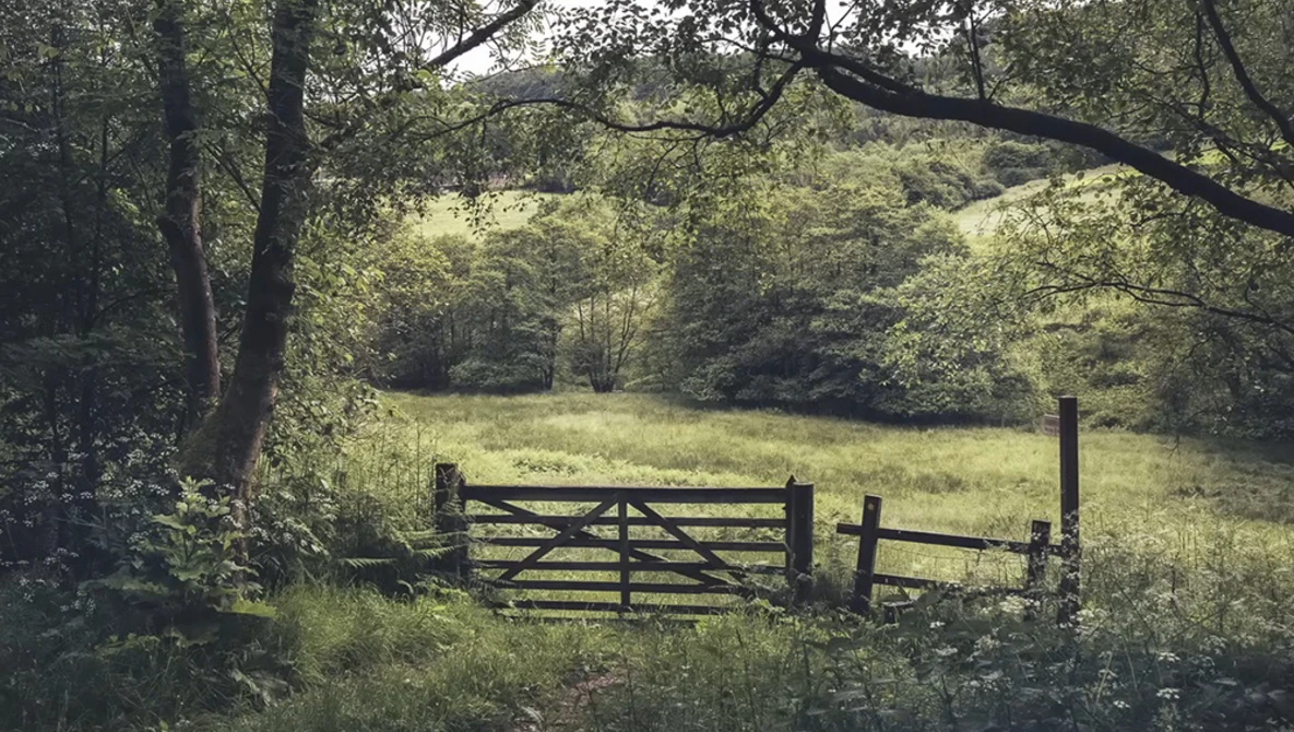 Wooden farm gate in a sunlit pastoral landscape surrounded by dense green trees.