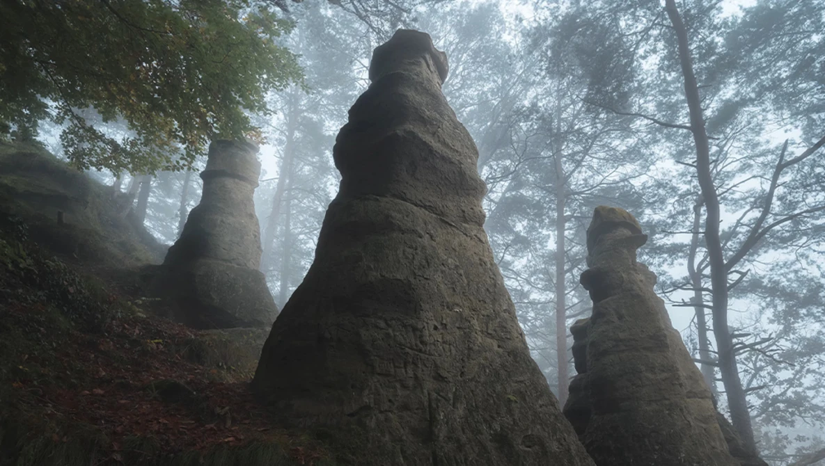 Conical rock formations rising through mist in a dense forest with bare trees.