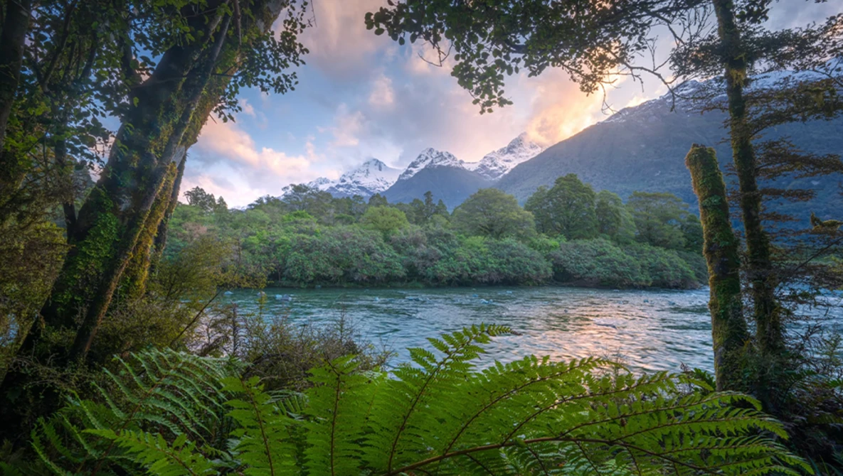 Snow-capped mountain peaks framed by moss-covered trees and ferns overlooking a calm river at dusk.