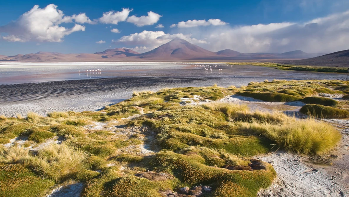 Salt flat landscape with volcanic mountain peak under blue sky and white clouds.