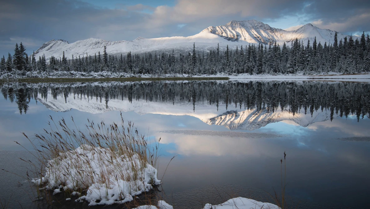 Snow-covered reeds in foreground with mirror-like lake reflecting forested mountains at dawn.