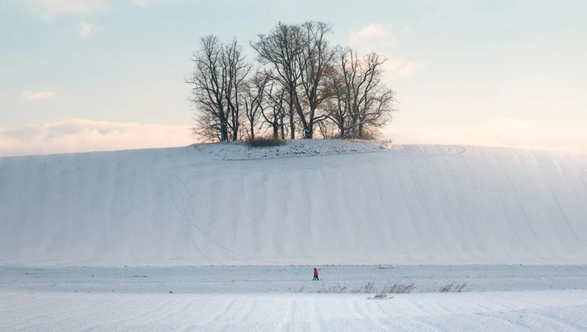 Bare trees on a snowy hilltop against a winter sky, with a solitary figure in the distant snow field.