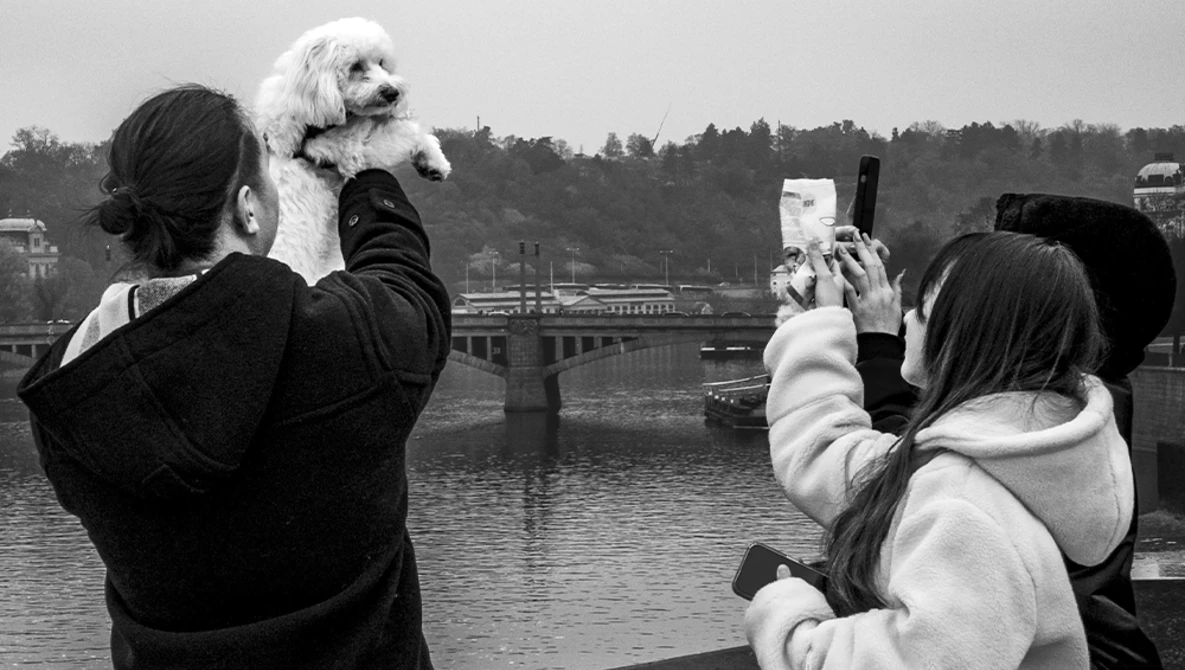 Woman holding a white poodle while another person photographs it by a river with a bridge in the background.