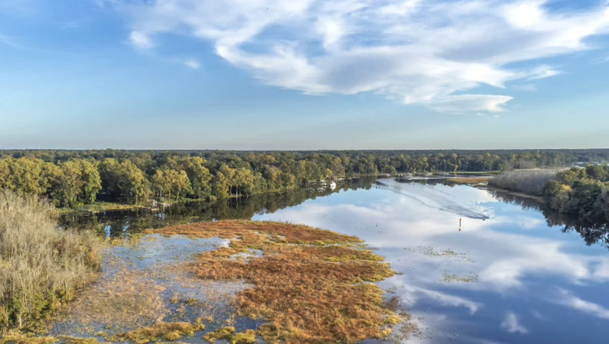 Aerial view of a winding river with wetlands and forested banks under a partly cloudy sky.