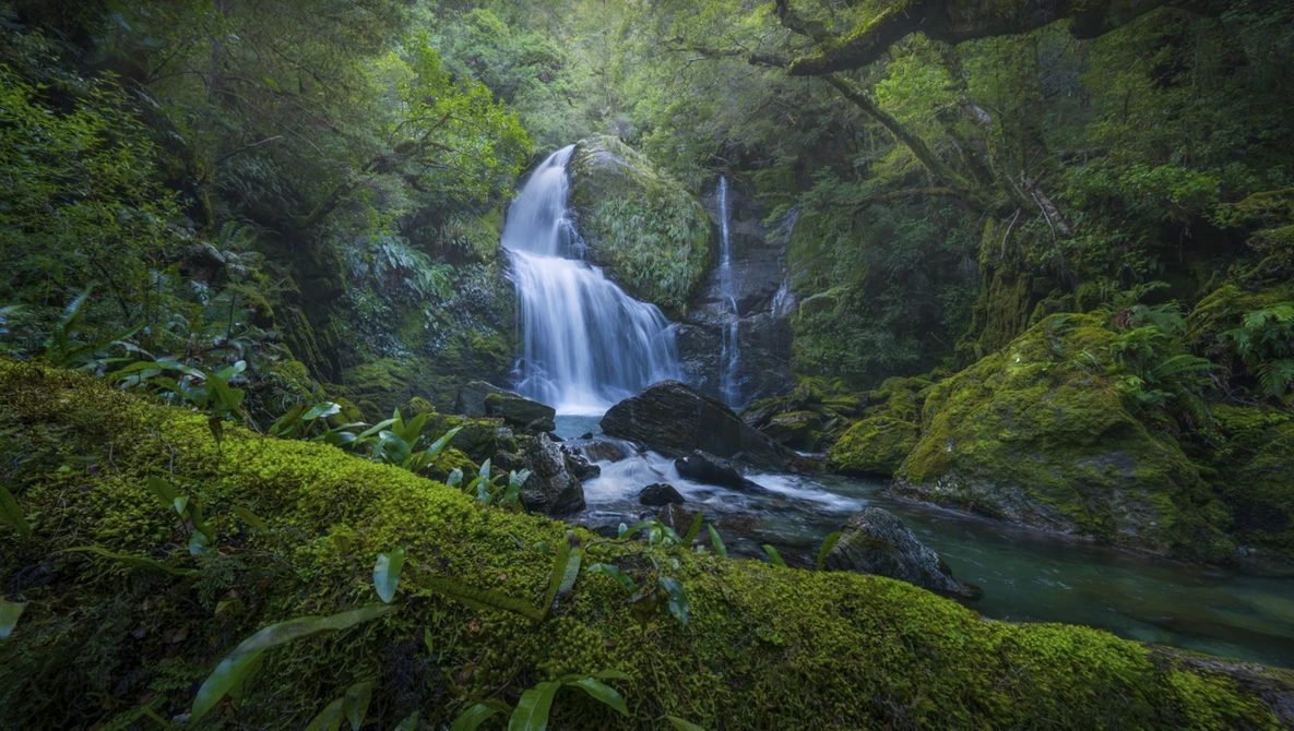 Multi-tiered waterfall cascading through dense moss-covered forest with evergreen canopy.