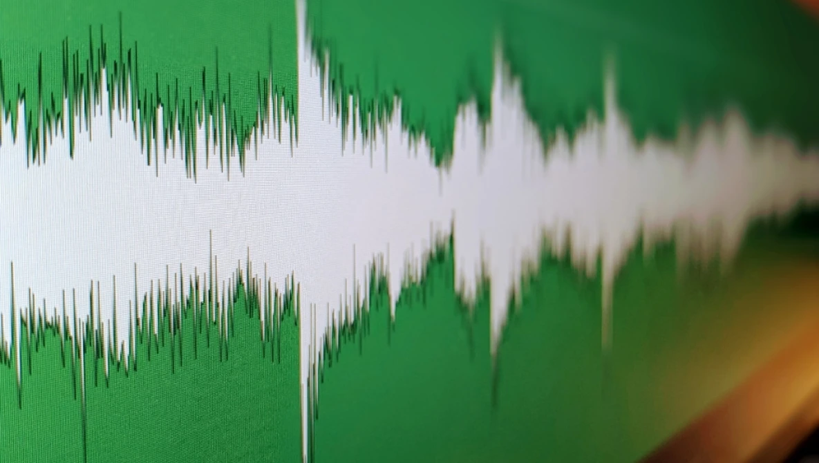 Screenshot of an audio waveform display showing stereo channels in white against a green background.