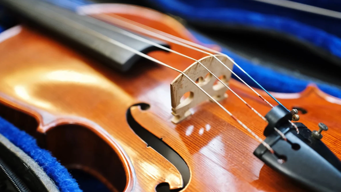 Close-up of violin bridge and strings with warm studio lighting highlighting the wood grain and metalwork.