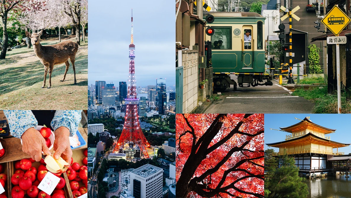 Collage of nine photographs showcasing Tokyo urban and natural scenes, including deer, cherry blossoms, street food, Tokyo Tower, and traditional architecture.