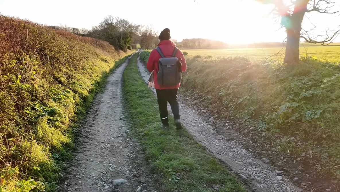 Hiker in red jacket walking away on a rural dirt path between hedgerows at golden hour.