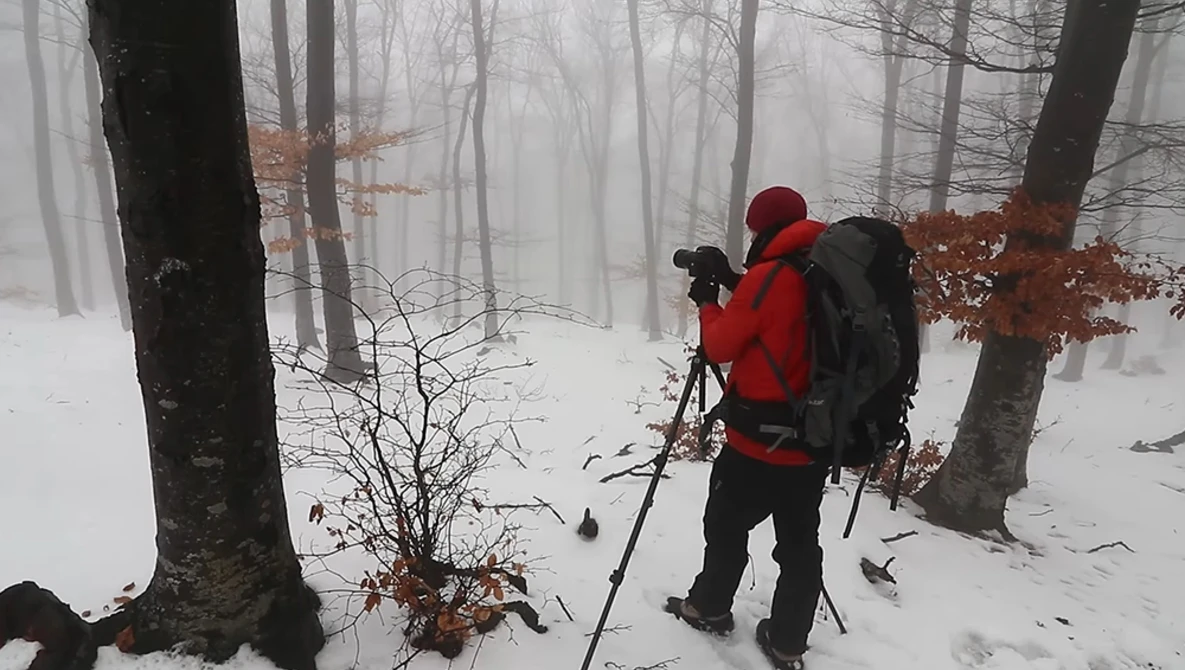 Photographer in red jacket and backpack with tripod in snowy forest with bare trees and fog.