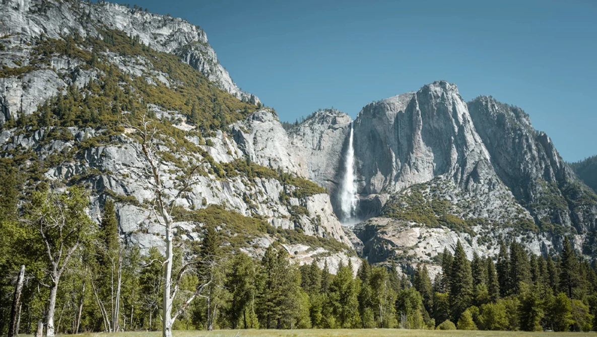 Yosemite Valley with a tall waterfall cascading down granite cliffs surrounded by coniferous forest.