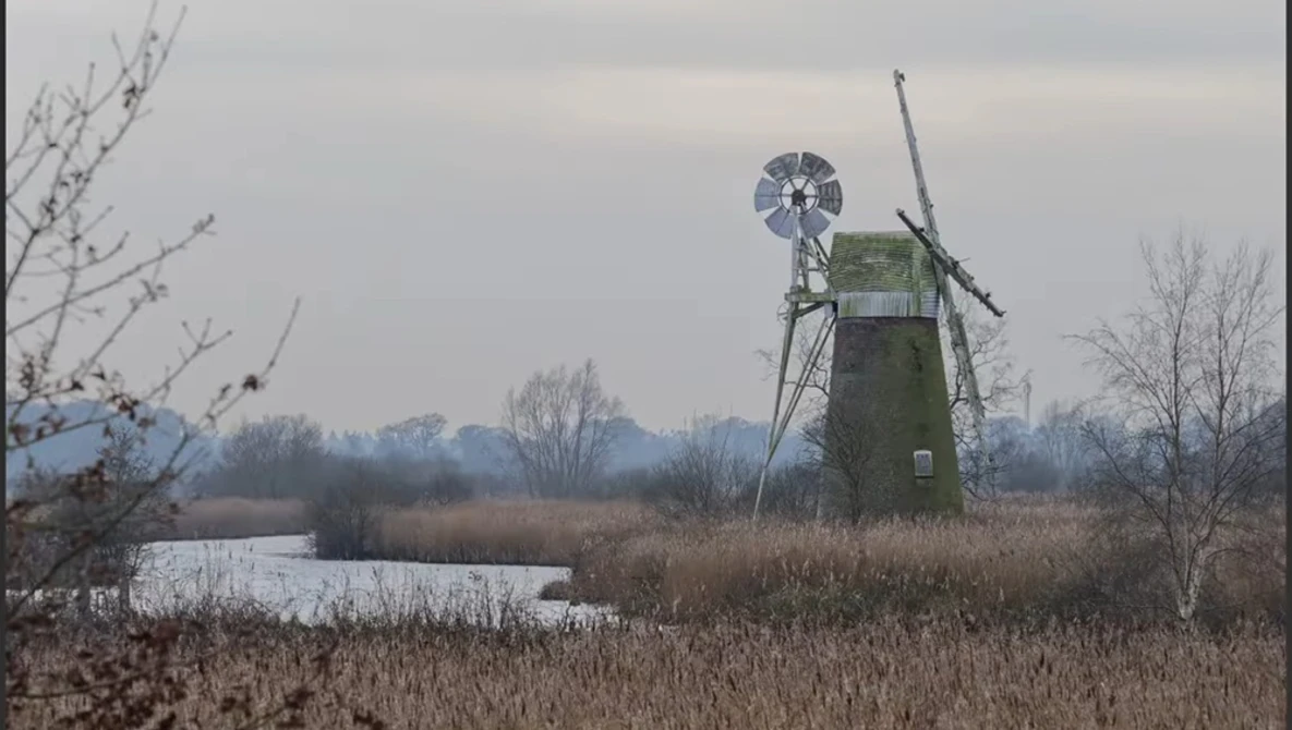 Traditional Dutch windmill with green weathered structure stands in flat marshland with bare winter trees and still water.
