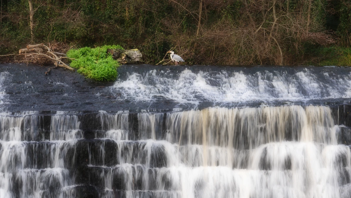 Multi-tiered waterfall cascading over dark rocks with silky water effect and bare trees lining the banks.