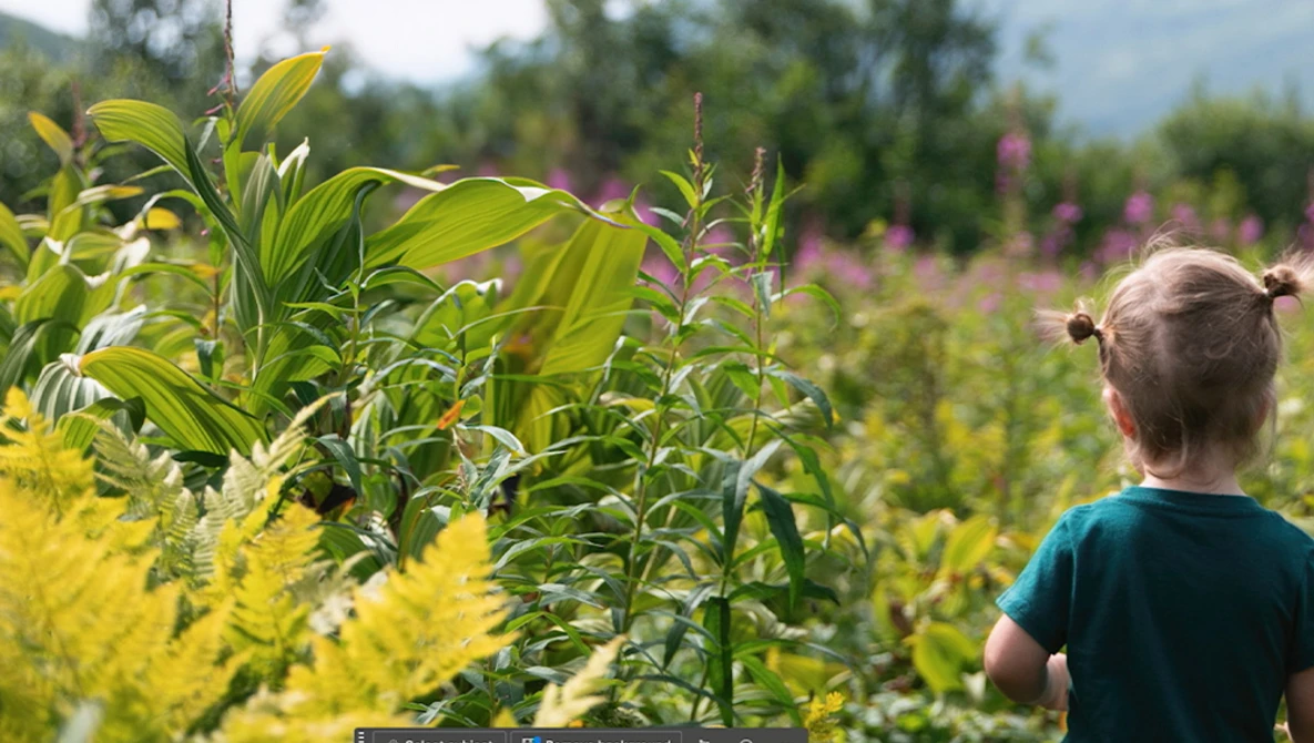 Child viewing a garden with blooming flowers and green foliage in soft daylight.