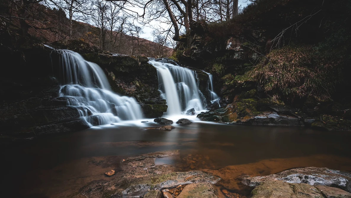 Two cascading waterfalls flowing into a dark pool surrounded by bare trees and moss-covered rocks.