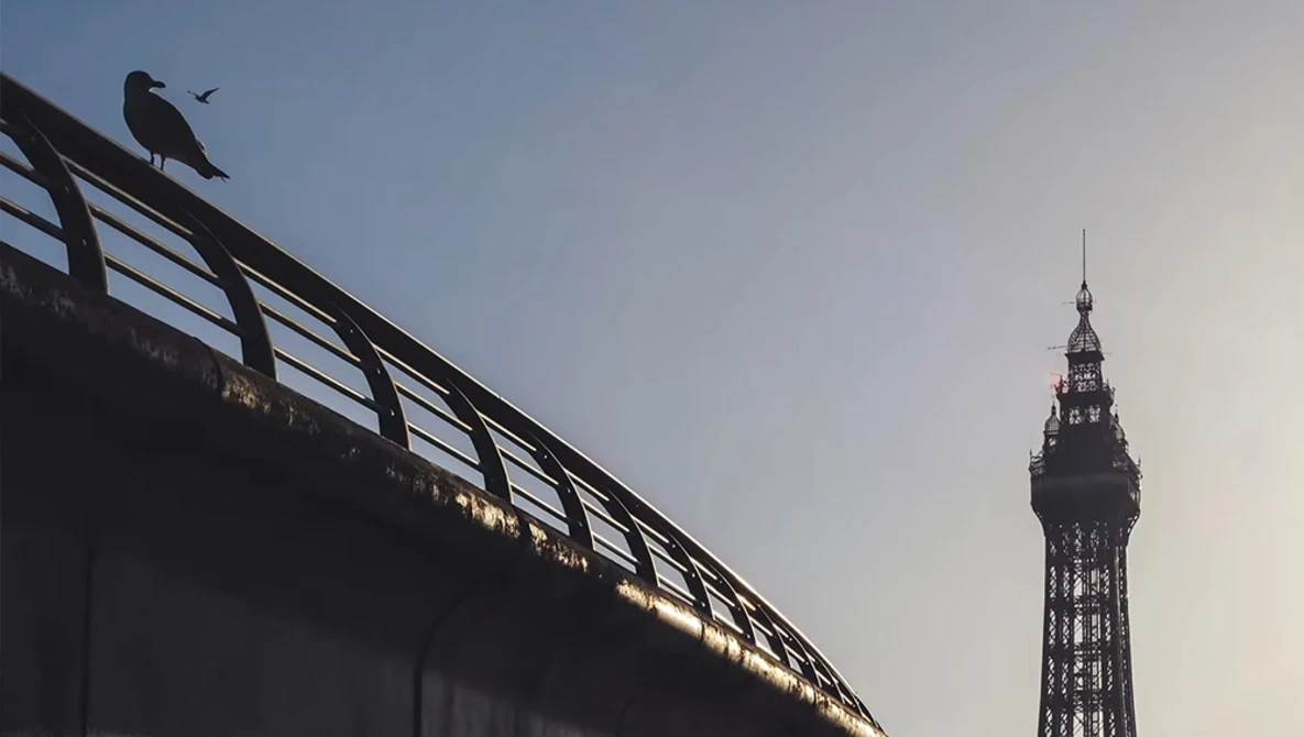 Silhouetted bird perched on a bridge railing with an ornate tower in the background at dusk.
