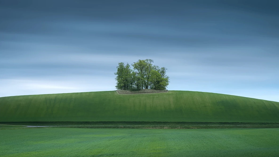 Solitary cluster of trees on the crest of a rounded green hill against a blue sky.