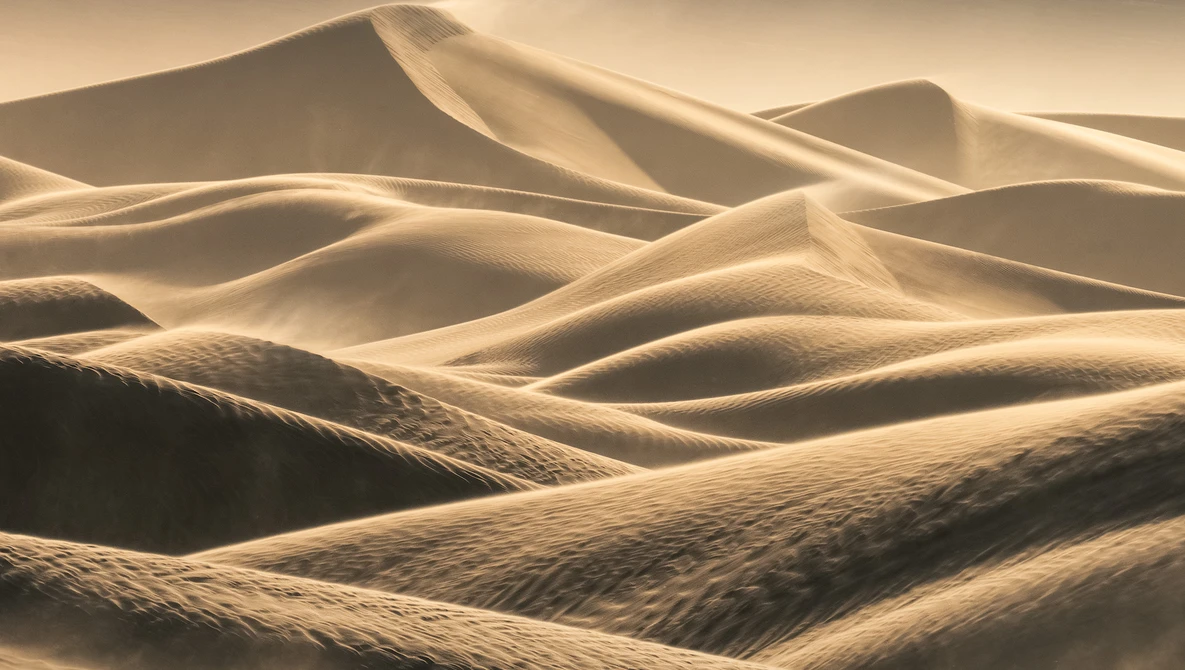 Undulating sand dunes with dramatic warm lighting and deep shadows creating sculptural forms.