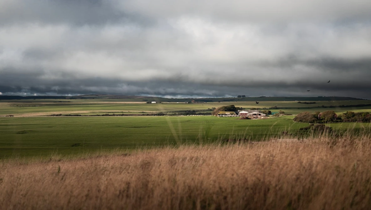 Rolling farmland with distant homestead under overcast sky and wheat field foreground.
