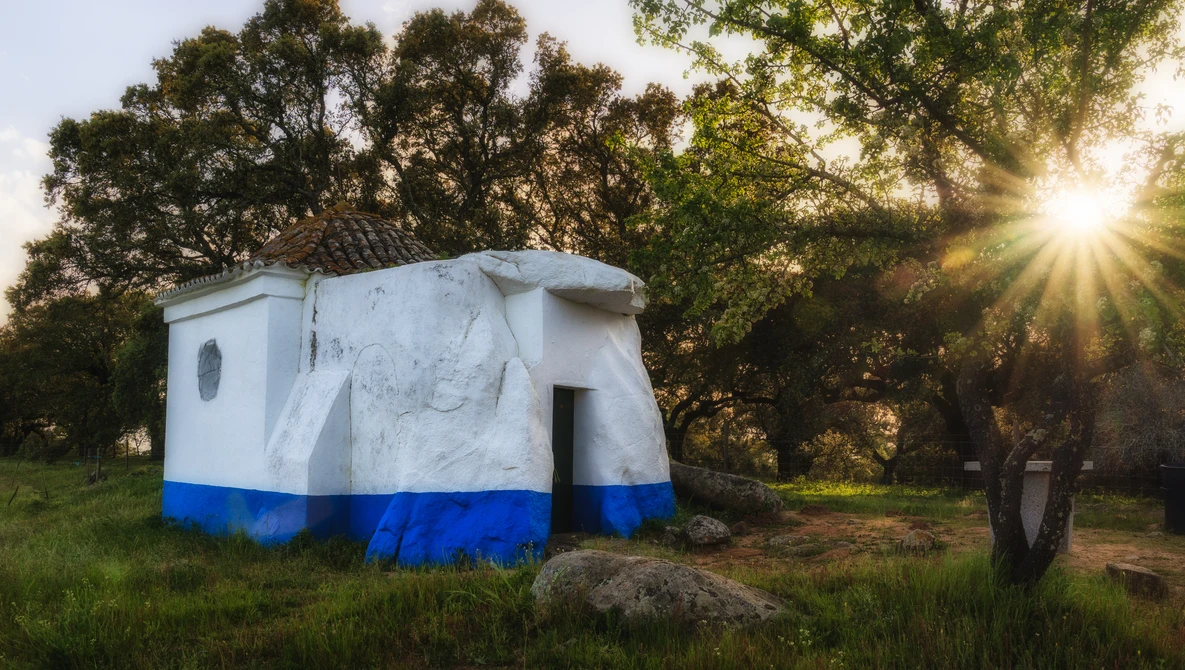 White and blue painted structure in a grassy field with sunlight streaming through trees at sunset.