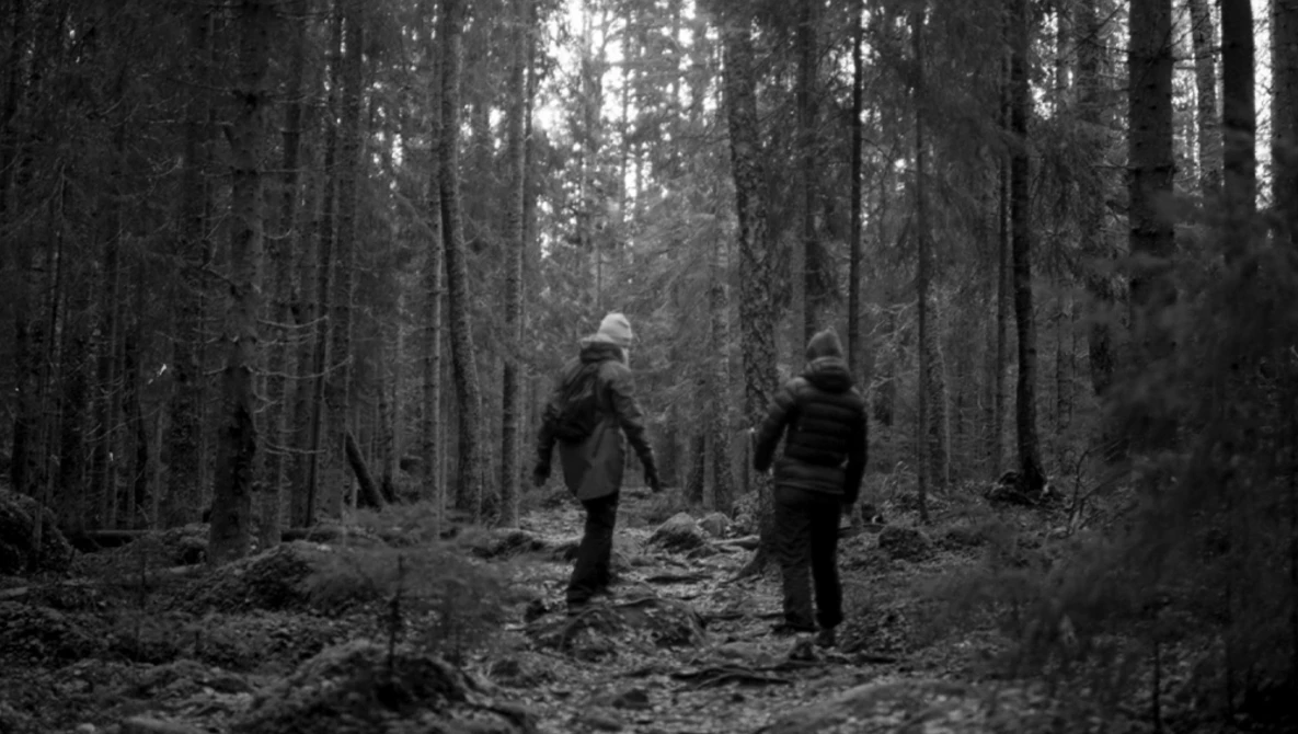 Two hikers walking away on a forest trail surrounded by tall conifers in black and white.