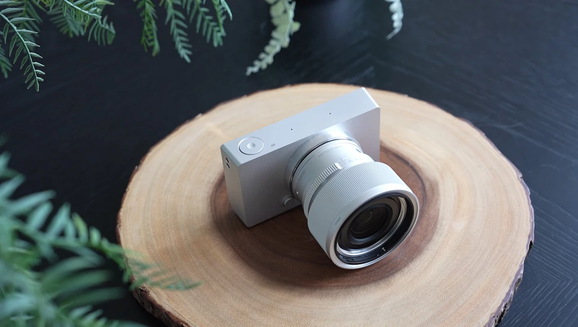 Compact mirrorless camera with white prime lens mounted on a circular wood slice against dark background with fern leaves.