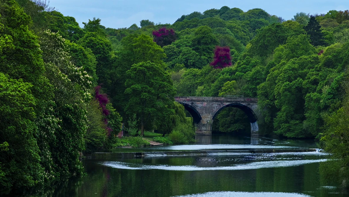 Stone arch bridge spanning a calm river surrounded by dense green foliage and flowering trees.