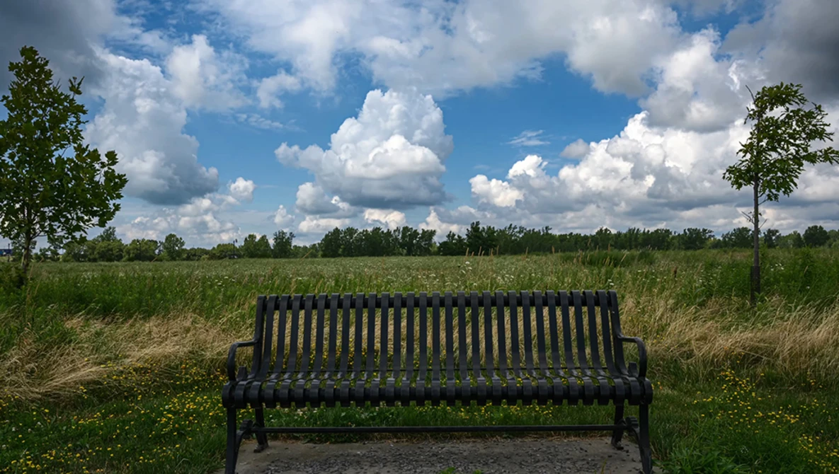 Dark wooden bench facing an open meadow under a blue sky with white clouds.
