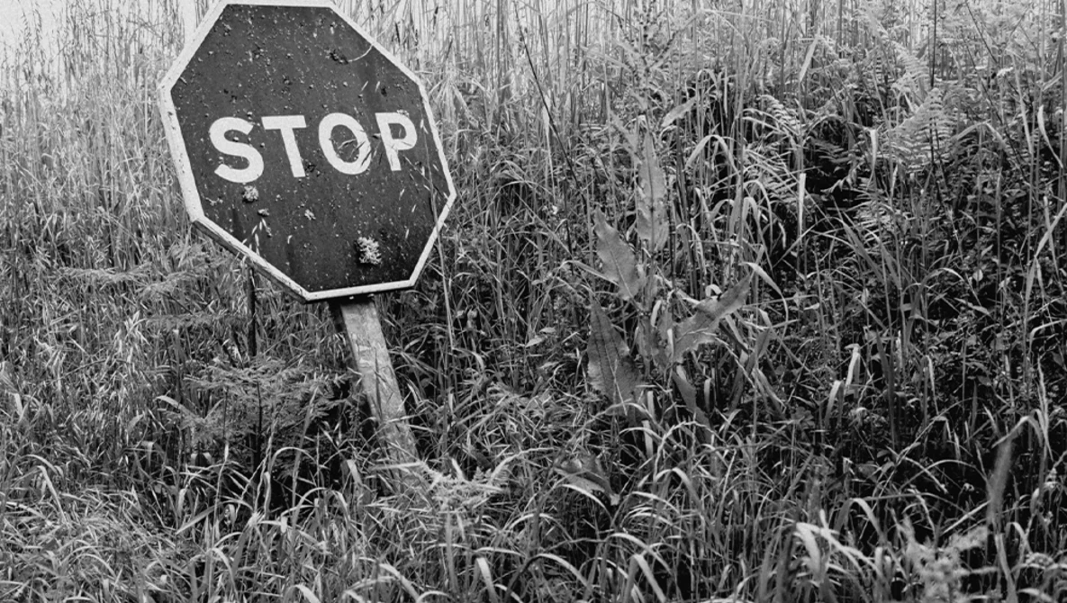 Weathered stop sign partially obscured by overgrown dried vegetation and tall grasses in black and white.