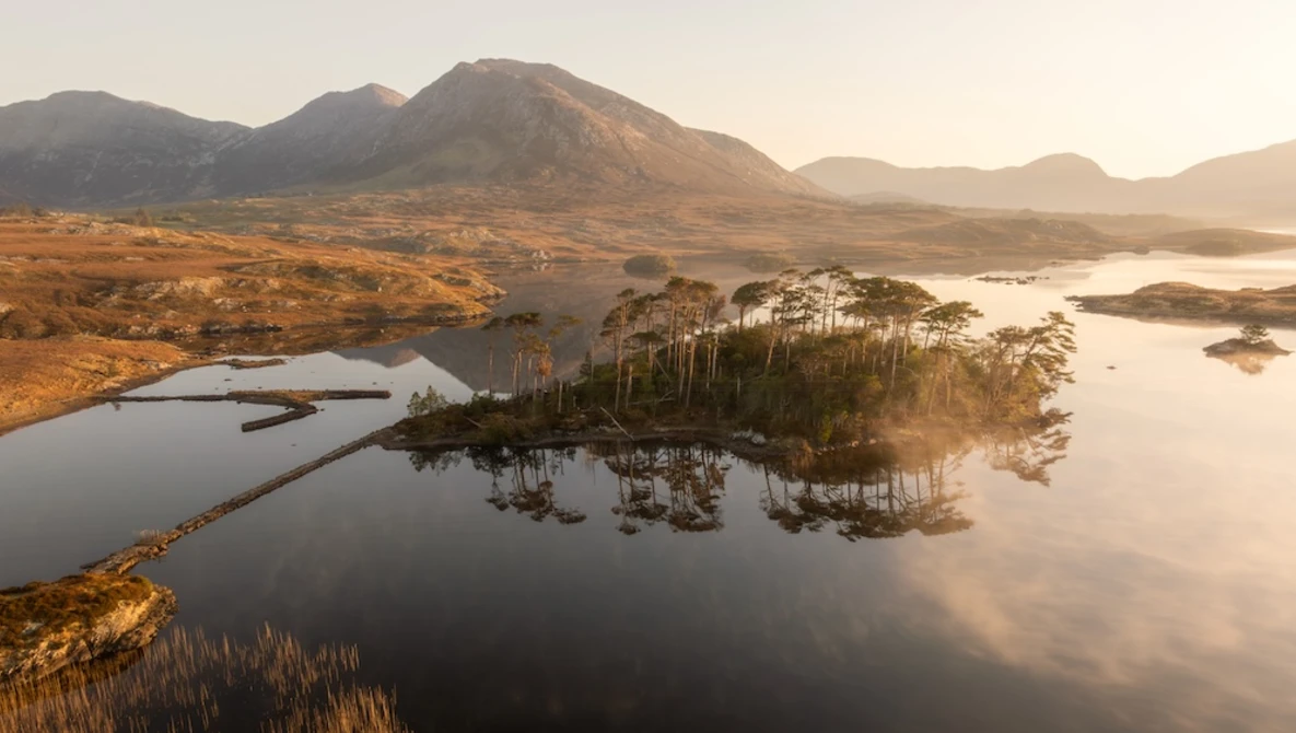 Pine trees on a small peninsula surrounded by still water, with mountains and golden light in the background.