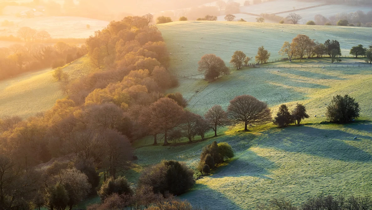Rolling countryside landscape with frost-covered fields, scattered trees, and golden sunrise light illuminating distant hills.