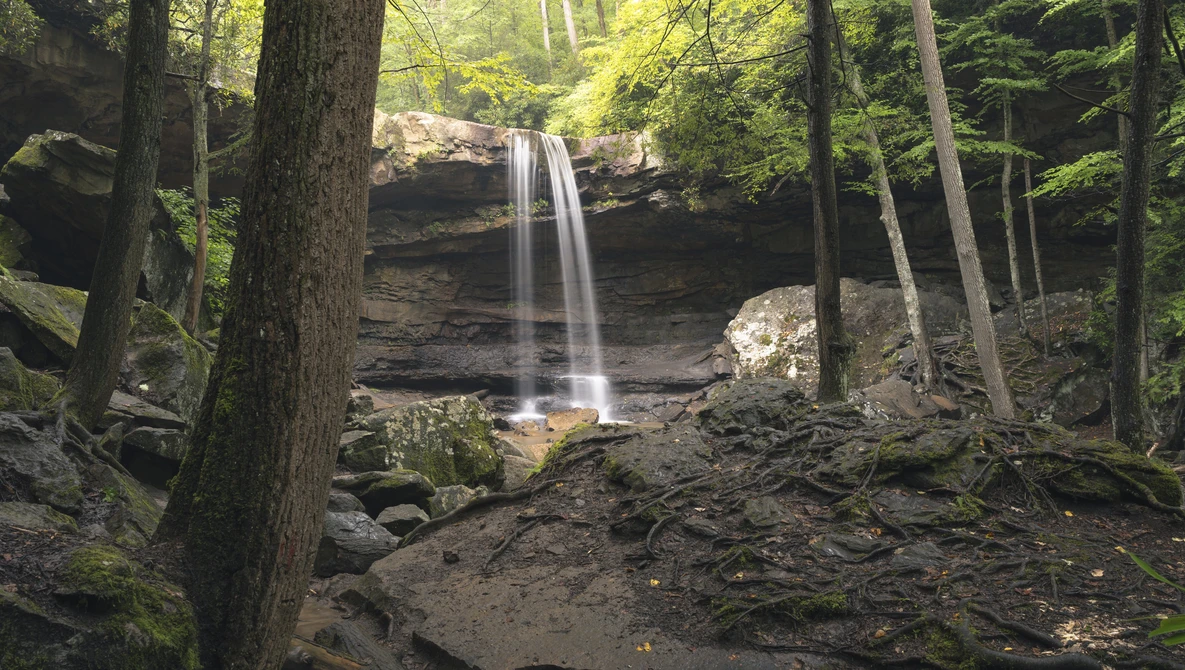 Waterfall cascading from dark rock ledge in dense forest surrounded by tall trees.