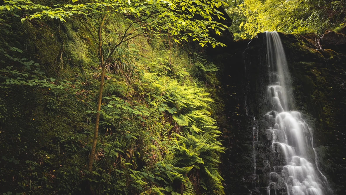 Waterfall cascading down moss-covered rock face surrounded by dense green forest canopy.