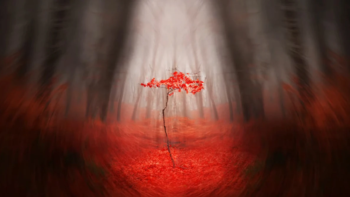 Red tree with vibrant foliage stands alone in a misty forest with motion blur effect.
