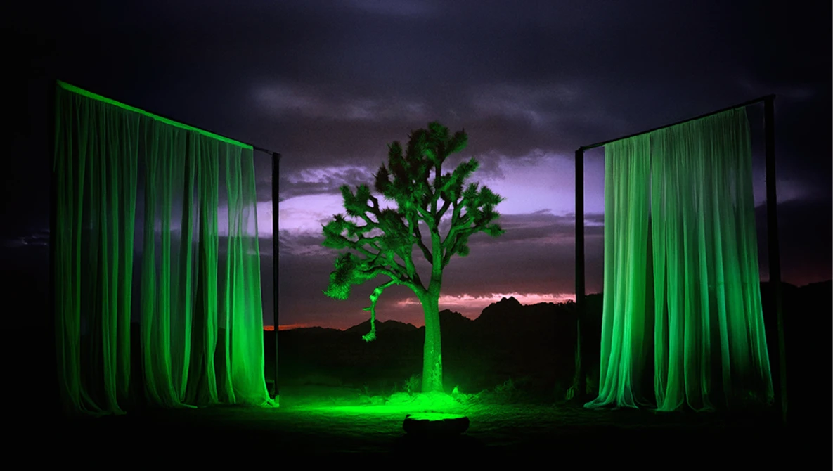Illuminated tree silhouette framed by glowing green curtains against a dramatic sunset sky.