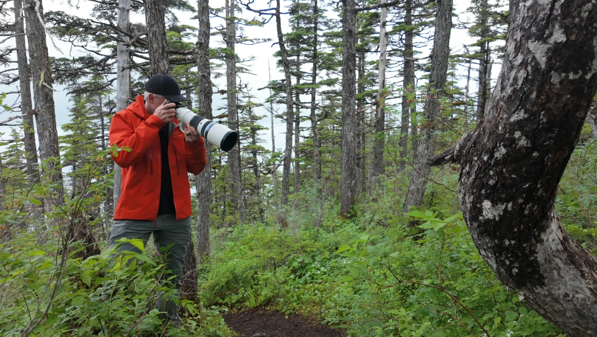 Photographer in red jacket holding telephoto lens in coniferous forest with dense green understory.