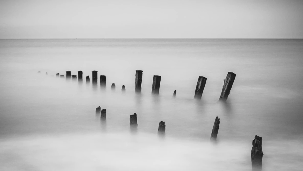 Weathered wooden pilings partially submerged in thick fog over still water.