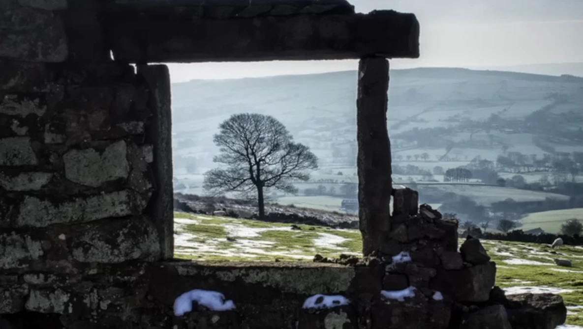 Barren tree framed through weathered stone window opening overlooking rolling hills and distant valley.
